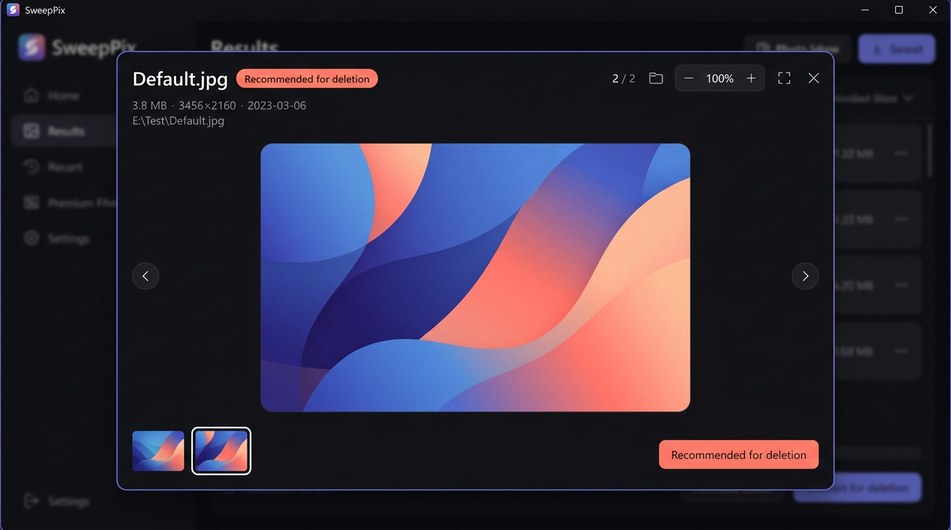 SweepPix full-screen photo preview with image details and thumbnail navigation